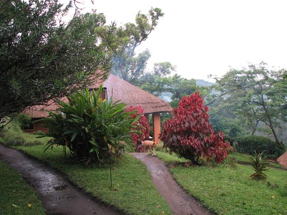 Ndali Lodge - Nature 